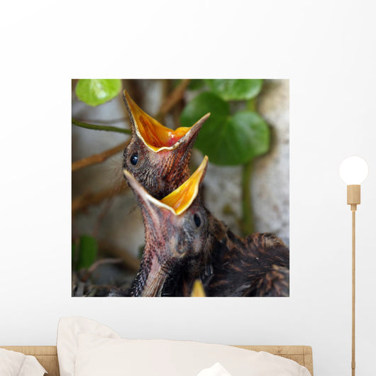 Bird Nest with Young