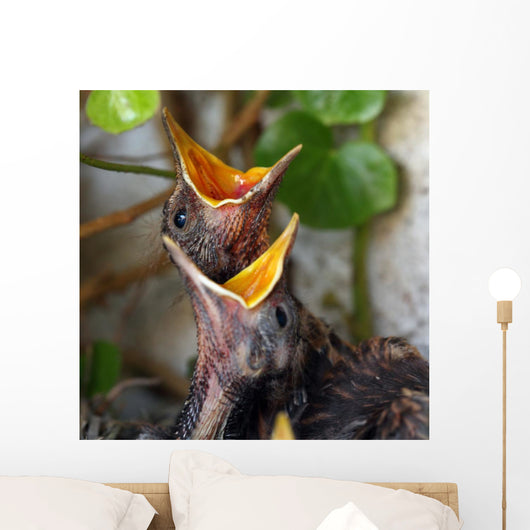 Bird Nest with Young