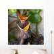 Bird Nest with Young