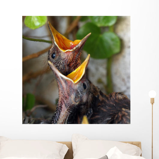 Bird Nest with Young