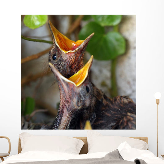 Bird Nest with Young