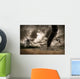 Large Tornado over Wind