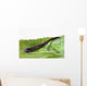 Medicinal leech Hirudo therapy Wall Mural