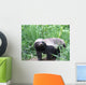 Honey Badger Wall Mural