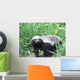Honey Badger Wall Mural
