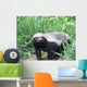 Honey Badger Wall Mural