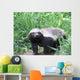 Honey Badger Wall Mural