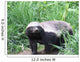 Honey Badger Wall Mural