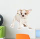 Chihuahua Puppy White Wall Decal