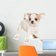 Chihuahua puppy on white background Wall Decal