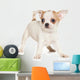 Chihuahua puppy on white background Wall Decal