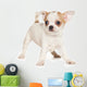 Chihuahua puppy on white background Wall Decal