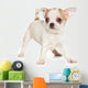 Chihuahua puppy on white background Wall Decal