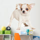 Chihuahua puppy on white background Wall Decal