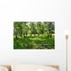 birches Wall Mural