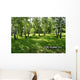 birches Wall Mural