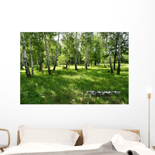 birches Wall Mural