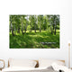 birches Wall Mural