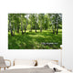 birches Wall Mural