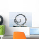 White Volute