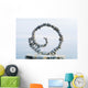 White Volute