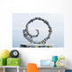 White Volute