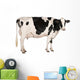 Holstein Cow Wall Decal