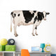 Holstein Cow Wall Decal