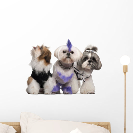 Group Dressed and Groomed Wall Decal