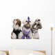 Group Dressed and Groomed Wall Decal