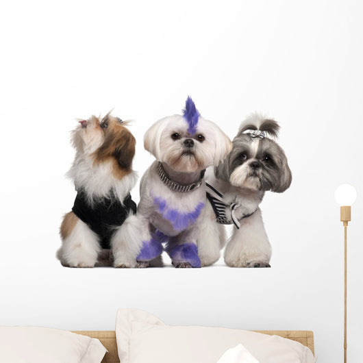 Group Dressed and Groomed Wall Decal