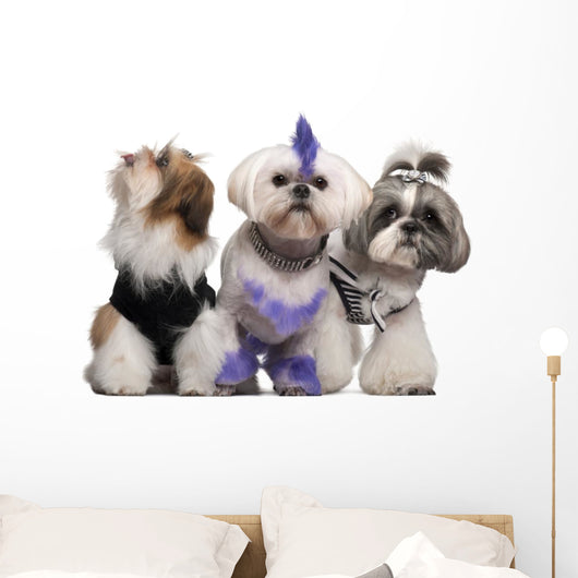 Group Dressed and Groomed Wall Decal