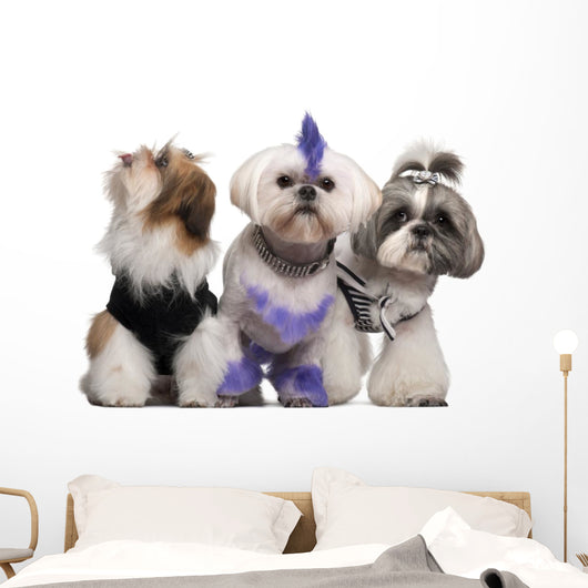 Group Dressed and Groomed Wall Decal