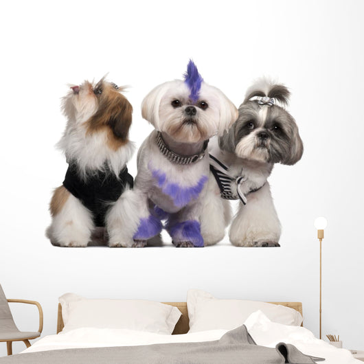 Group Dressed and Groomed Wall Decal