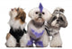 Group Dressed and Groomed Wall Decal