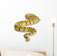 Female Killerbee Royal Python Wall Decal