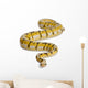 Female Killerbee Royal Python Wall Decal