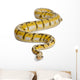 Female Killerbee Royal Python Wall Decal