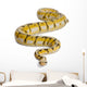Female Killerbee Royal Python Wall Decal