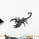 Emperor Scorpion,  Pandinus imperator, 1 year old Wall Decal