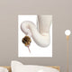 Close-up Female Pied Spider Wall Decal