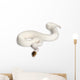Female Pied Spider Ball Python 1 Wall Decal