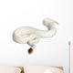 Female Pied Spider Ball Python 1 Wall Decal