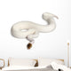Female Pied Spider Ball Python 1 Wall Decal