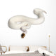Female Pied Spider Ball Python 1 Wall Decal