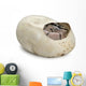 Royal Python His Egg Wall Decal
