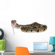Python Royal Python Eating Wall Decal