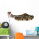 Python Royal Python Eating Wall Decal