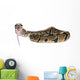 Python Royal Python Eating Wall Decal