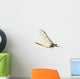 Mayfly, Ephemera danica, in front of white background Wall Decal